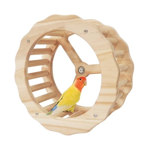 Papageien-Laufrad – bunte Rotationsplattformen, Vogelzubehör | Natürlicher Holztrainer mit sanfter Aktion für Käfige, Koordi-Fähigkeiten Papageien-Laufrad – bunte Rotationsplattformen, Vogelzubehör | Natürlicher Holztrainer mit sanfter Aktion für Käfige, Koordi-Fähigkeiten von Xinhuju