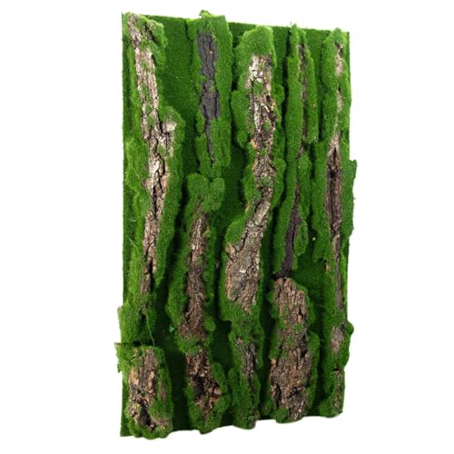 Reptilien-Terrarium-Kork-Hintergrund, Reptilien-Terrarium-Kork-Hintergrund – Reptilien-Lebensraum Hintergrund | Reptilien-Terrarium- für Aquarium-Hintergrund, L von Xinhuju