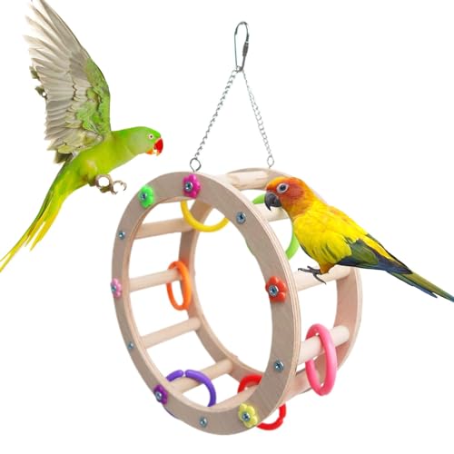 Schaukelspielzeug – Vogelkletterspielzeug, Vogelschaukeln Sittiche | Vogelkäfig-Schaukeln mit Kauspielzeug, Papageienkäfig-Zubehör und Kletterspielzeug, Vogel-Kauspielzeug, Sittich-Schaukeln, Spielzeu Schaukelspielzeug – Vogelkletterspielzeug, Vogelschaukeln Sittiche | Vogelkäfig-Schaukeln mit Kauspielzeug, Papageienkäfig-Zubehör und Kletterspielzeug, Vogel-Kauspielzeug, Sittich-Schaukeln, Spielzeu von Xinhuju