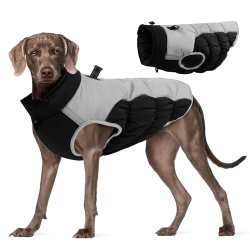 Schneejacke für Hunde | Hundejacke Warmer Hundebel, reflektierender Hund kaltes Wetter, Schneejacke Winterhundmäntel, Fleece -Futter -Schneeanzug Schneejacke für Hunde | Hundejacke Warmer Hundebel, reflektierender Hund kaltes Wetter, Schneejacke Winterhundmäntel, Fleece -Futter -Schneeanzug von Xinhuju