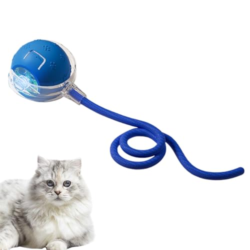 Verschlechterung und Bewegung aktivieren Spielzeug für Katzen, Katzenbällchen, die durch die Bewegung aktiviert sind | Interaktive Spielzeugbälle für schnelle Scrollenkatzen, automatisches Spielzeug f Verschlechterung und Bewegung aktivieren Spielzeug für Katzen, Katzenbällchen, die durch die Bewegung aktiviert sind | Interaktive Spielzeugbälle für schnelle Scrollenkatzen, automatisches Spielzeug f von Xinhuju