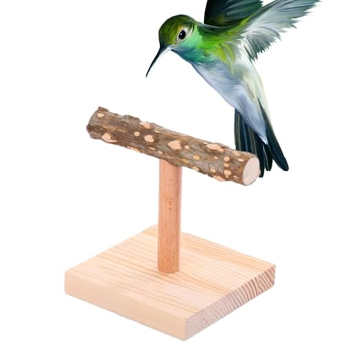 Vogel-Sitzstangen für Papageien – Vogelplattformen T-Form Papageienständer, Tischplatte Nymphensittiche Sitzstange | Papageien-Übungsspielzeug für Nymphensittiche, Wellensittiche, Aras, Pfingstrosen Vogel-Sitzstangen für Papageien – Vogelplattformen T-Form Papageienständer, Tischplatte Nymphensittiche Sitzstange | Papageien-Übungsspielzeug für Nymphensittiche, Wellensittiche, Aras, Pfingstrosen von Xinhuju