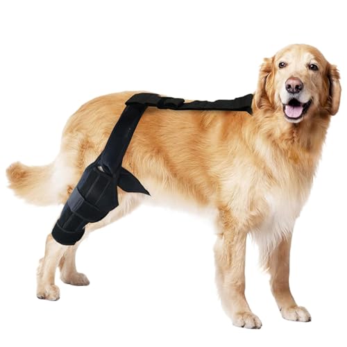 Xinhuju Kniebandage für Hunde, Kniebandage, Hinterbeinstütze, Neopren, Hüftbandage, verstellbarer Traktionsgurt für Knie bei Kreuzbandverletzungen bei gerissenem Kreuzband Xinhuju Kniebandage für Hunde, Kniebandage, Hinterbeinstütze, Neopren, Hüftbandage, verstellbarer Traktionsgurt für Knie bei Kreuzbandverletzungen bei gerissenem Kreuzband von Xinhuju