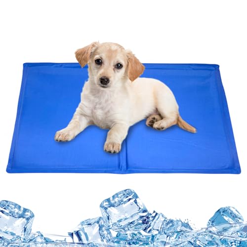 Xinhuju Kühlendes Bett für Hunde, Gelmatte für Katzen, faltbar, für Nickerchen, Schlaf in der Kiste, Sofa, Haus, Auto, Boden, Indoor, Outdoor, Garten, Camping, Zwinger Xinhuju Kühlendes Bett für Hunde, Gelmatte für Katzen, faltbar, für Nickerchen, Schlaf in der Kiste, Sofa, Haus, Auto, Boden, Indoor, Outdoor, Garten, Camping, Zwinger von Xinhuju
