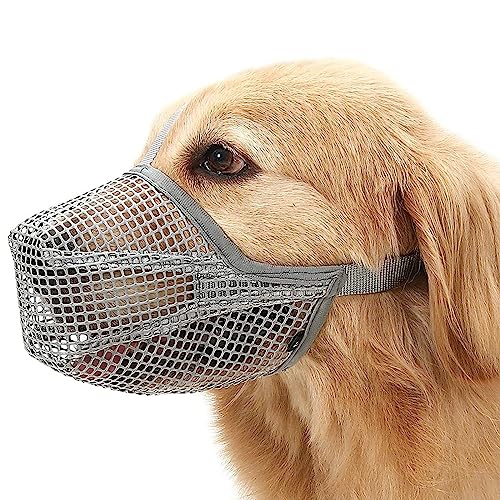 Atmungsaktiver Maulkorb für Mittelgroße Hunde Sicherer Maulkorb für Hunde,Verstellbarer und Sicherer Hundemaulkorb für Bequemes Tragen,Ideal für Training,Spaziergänge und Tierarztbesuche(Größe L) Atmungsaktiver Maulkorb für Mittelgroße Hunde Sicherer Maulkorb für Hunde,Verstellbarer und Sicherer Hundemaulkorb für Bequemes Tragen,Ideal für Training,Spaziergänge und Tierarztbesuche(Größe L) von Xinlie