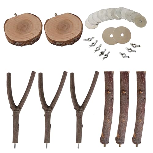 Haltbarkeit Vogelstand Set Holzvogelstange Stand Polen Haustier Vogel Trainingsinstrument Für Käfigzubehör Haltbarkeit Vogelstand Set Holzvogelstange Stand Polen Haustier Vogel Trainingsinstrument Für Käfigzubehör von Xinsheinelry