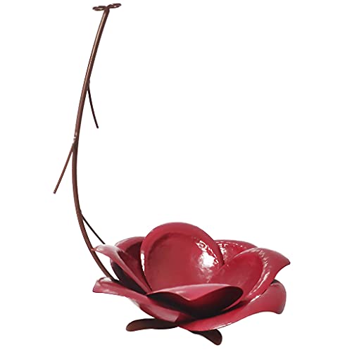 Xinsheinelry Wildvogel Feeder Metal Outdoor Hummingbird Feedering Hängende Lebensmittel Aufbewahrungsschale Für Garten Terrasse Bäume Xinsheinelry Wildvogel Feeder Metal Outdoor Hummingbird Feedering Hängende Lebensmittel Aufbewahrungsschale Für Garten Terrasse Bäume von Xinsheinelry