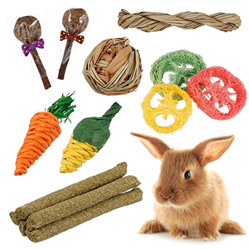 Xinzistar 17-teiliges Spielzeug für Kaninchen, Kaninchenzubehör, Kauspielzeug für Kaninchen, für Meerschweinchen, Hamster, Chinchilla, Rennmäuse von Xinzistar