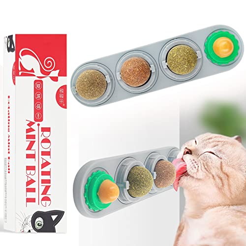 Xionghonglong Katzenminze Ball,Katzenminze Wandroller für Katzenlecken, Zahnreinigung Dentales essbares Kätzchenspielzeug, Natürliches drehbares Katzenspielzeug (4 pcs) Xionghonglong Katzenminze Ball,Katzenminze Wandroller für Katzenlecken, Zahnreinigung Dentales essbares Kätzchenspielzeug, Natürliches drehbares Katzenspielzeug (4 pcs) von Xionghonglong