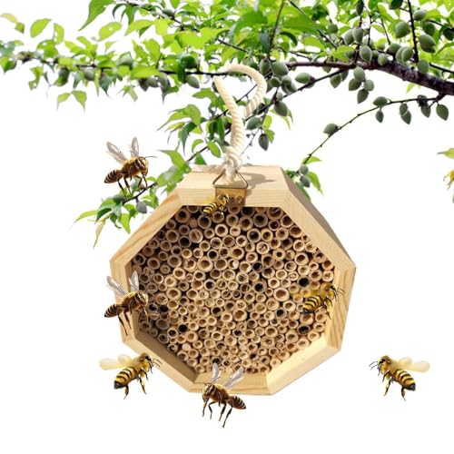 Xistuoz Bienenhotel - Nisthilfe aus für Wildbienen - Bestäuberpalast, Schmetterlingshaus, Wespenlebensraum für Garten Hof Terrasse von Xistuoz