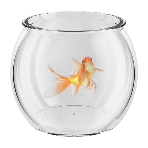 Xistuoz Desktop Aquarium | Zylinder Guppy Tank Transparent Fisch Aquarium - Kompakter Zierfisch Wassertier Behälter für Zuhause Tisch oder Desktop Display Xistuoz Desktop Aquarium | Zylinder Guppy Tank Transparent Fisch Aquarium - Kompakter Zierfisch Wassertier Behälter für Zuhause Tisch oder Desktop Display von Xistuoz