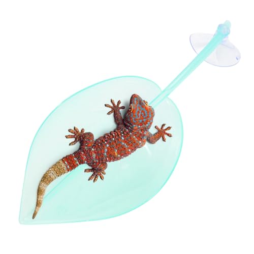 Xistuoz Schildkrötenblattkorb, Kletterruhe, Blattform, Saugnäpfe, Amphibien- -Zubehör für Terrarium, Zwergfrösche, Schildkröten, Gecko-Kröten von Xistuoz