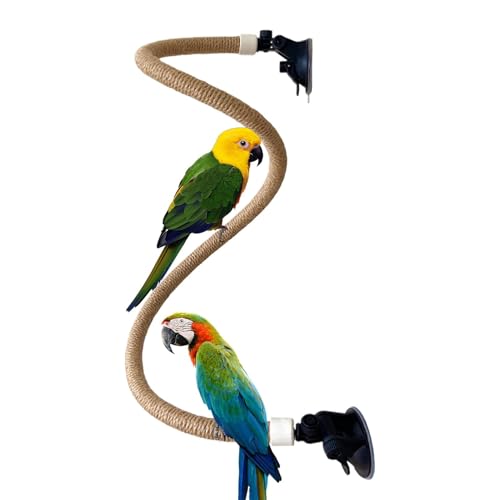 Xistuoz -Sitzstange – verstellbarer Saugnapf für Sittiche – tragbarer Schleifstab-Trainingsspielzeug, Vogelkäfig-Zubehör für kleine und mittelgroße Vögel von Xistuoz