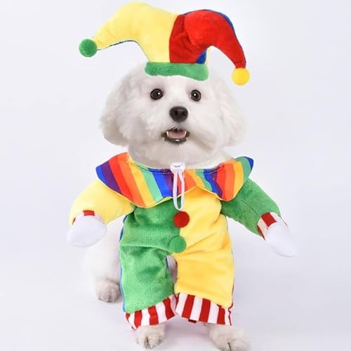 Halloween Kostüme für Hunde, Hundekostüm Halloween, Lustiges Haustierkostüm, Lustige Hund Halloween Kostüm für Haustier kleine Hunde oder Welpen Katzen Party hundekostüm (M) von Xiuyer