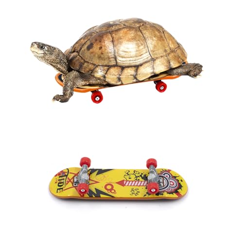 2 Stück Schildkröten Skateboard intelligentes Spielzeug Lustiges Schildkrötenspielzeug Mini Walking Skateboards für Kleine Haustiere Papageien Reptilien 9,5x2,6x1,2 cm 2 Stück Schildkröten Skateboard intelligentes Spielzeug Lustiges Schildkrötenspielzeug Mini Walking Skateboards für Kleine Haustiere Papageien Reptilien 9,5x2,6x1,2 cm von XiyaxiVici