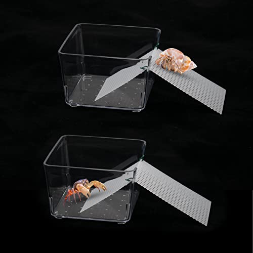 2 Stück transparenter Einsiedlerkrebs Wassertank mit Kletterrampe, Einsiedlerkrebs Aquarium Tank Käfig Salzwasser Pool Zubehör, Einsiedlerkrebs Lebensraum für kleine oder mittelgroße Einsiedlerkrebs 2 Stück transparenter Einsiedlerkrebs Wassertank mit Kletterrampe, Einsiedlerkrebs Aquarium Tank Käfig Salzwasser Pool Zubehör, Einsiedlerkrebs Lebensraum für kleine oder mittelgroße Einsiedlerkrebs von XiyaxiVici