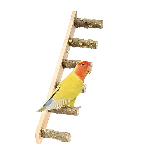 Leiter Vogel Spielzeug Papageien Leiter Vogelspielzeug Spielzeug Holzleiter Hölzerne Strickleiter Hamster Wooden Ladder Papagei Holz Kletterleitern für Kleine Bis Mittlere VöGel von XiyaxiVici