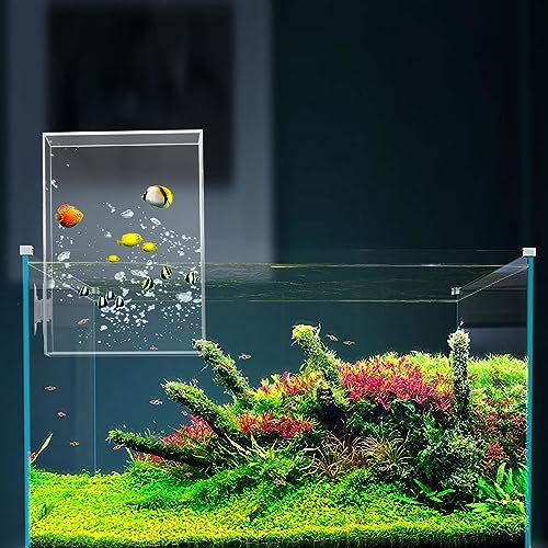 Unterdruck Aquarium Fischaufzug Aquarium Dekoration Überwasser Aquarium Acryl Erweiterter Schwimmbereich Transparent Aquarium Zubehör 12x12x20 cm von XiyaxiVici