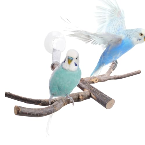Vogelstange mit Saugnapf, Fenster, Wand, Bad, Auto, Outdoor, Reise, Sitzstange für kleine und mittelgroße Vögel, Papageien, Sittiche, Nymphensittiche, Sittiche, Sittiche, Sittiche, Sittiche, Sittiche, Vogelstange mit Saugnapf, Fenster, Wand, Bad, Auto, Outdoor, Reise, Sitzstange für kleine und mittelgroße Vögel, Papageien, Sittiche, Nymphensittiche, Sittiche, Sittiche, Sittiche, Sittiche, Sittiche, von XiyaxiVici