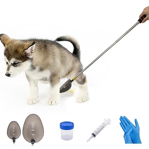 XiyaxiVici Urin-Sammler für Hunde und Katzen Set Teleskopischer Urinfänger 20 ml Spritze und 40 ml Probenbecher Wiederverwendbar Handlich Sauber Entnahme Einer Urinprobe von XiyaxiVici