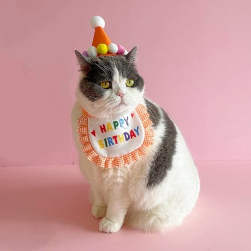 Geburtstagsmütze Schal Set für Hunde und Katzen, Hundegeburtstagshut, Hundepartyhut, Alles Gute zum Geburtstag, Hunde Geburtstags Mütze Geburtstagshut für Welpenkatzenhaustie (orange,1pcs) von Xiyocadt