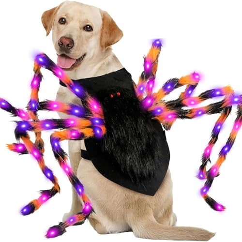 Halloween Kostüme für Hunde,SpinneHaustier Halloween Kleidung,Spinnen Cosplay, Spinnenanzug,beleuchtete,lustige,Festliche Cosplay Requisiten für Welpen Party,Foto,Haustier Feier (XL) von Xiyocadt