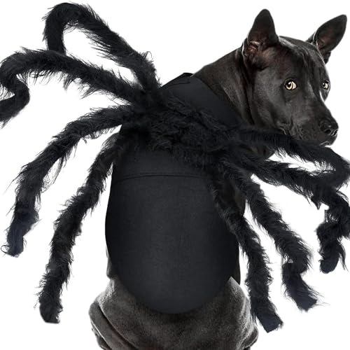 Halloween Spinnenkleidung für Hunde und Katzen Spinnenkostüme Verkleidung Kleidung für Haustiere Halloween Requisiten für Haustiere Party Kleidung Accessoires (XL) von Xiyocadt