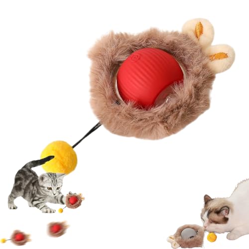 Xiyocadt Interaktives Katzenspielzeug, Magic Ball Für Hunde, Speedy Tail 2.0, Spielball Mit Schwanz Für Katzen Hunde Ball Spielzeug, Cat Toys for Indoor Cats, Katzenbälle Selbstbeschäftigung (Rot) Xiyocadt Interaktives Katzenspielzeug, Magic Ball Für Hunde, Speedy Tail 2.0, Spielball Mit Schwanz Für Katzen Hunde Ball Spielzeug, Cat Toys for Indoor Cats, Katzenbälle Selbstbeschäftigung (Rot) von Xiyocadt