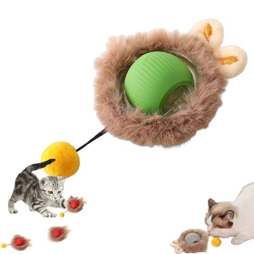 Xiyocadt Interaktives Katzenspielzeug, Magic Ball Für Hunde, Speedy Tail 2.0, Spielball Mit Schwanz Für Katzen Hunde Ball Spielzeug, Cat Toys for Indoor Cats, Katzenbälle Selbstbeschäftigung (Grün) Xiyocadt Interaktives Katzenspielzeug, Magic Ball Für Hunde, Speedy Tail 2.0, Spielball Mit Schwanz Für Katzen Hunde Ball Spielzeug, Cat Toys for Indoor Cats, Katzenbälle Selbstbeschäftigung (Grün) von Xiyocadt