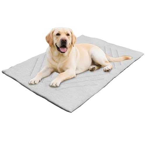 Xiyocadt Kühlmatte für Hunde Katzen, Kühlmatte Tiere, Selbstkühlend Haustiermatte, Waschbar Komfortabel Kühlbett für All Seasons Drinnen, Draußen und Auto (150 * 102 cm) von Xiyocadt