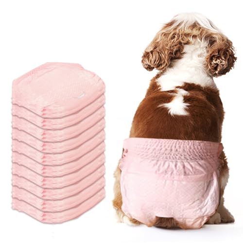 Hundewindeln für Damen, Einweg-Windeln, dehnbare Hundewindeln, Katzenwindeln für weibliche Katzen, Größe M, auslaufsichere Klimmzüge, Hundewindeln für Hündinnen in Hitze, Hundeperiode, Inkontinenz, Hundewindeln für Damen, Einweg-Windeln, dehnbare Hundewindeln, Katzenwindeln für weibliche Katzen, Größe M, auslaufsichere Klimmzüge, Hundewindeln für Hündinnen in Hitze, Hundeperiode, Inkontinenz, von Xloey