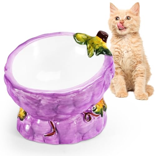 Xncooy Erhöhter Futternapf für Katzen, 15° geneigt, aus Keramik, schützt die Wirbelsäule der Katze, niedliche Traubenform, Keramik-Katzennäpfe für Wasser, Futter und Leckereien von Xncooy