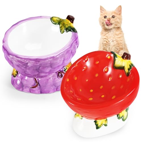 Xncooy Erhöhter Katzen-Wasser- und Futternapf, lebensmittelechte Keramik-Katzennäpfe, niedliche Erdbeer- und Traubenform, Katzenfutter- und Wassernapf, erhöht, für kleine Hunde und Welpen von Xncooy