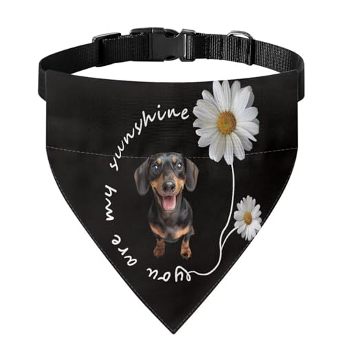 Xoenoiee Hundehalstuch mit Dackel-Motiv Gänseblümchen, Hundehalstuch, Halsband mit Schnalle, wendbar, verstellbar, weiches Haustierkostüm, Größe L von Xoenoiee