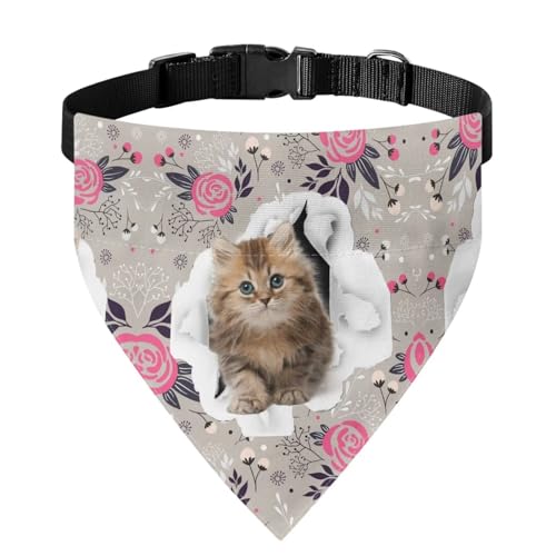 Xoenoiee Katzen-Halstuch, weich, mit verstellbarer Schnalle und Metallring zum Aufhängen der Leine, passend für die meisten Haustiere, Größe M Xoenoiee Katzen-Halstuch, weich, mit verstellbarer Schnalle und Metallring zum Aufhängen der Leine, passend für die meisten Haustiere, Größe M von Xoenoiee