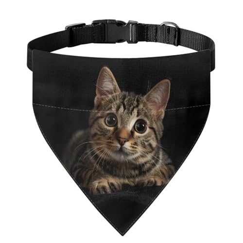 Xoenoiee Katzen-Halstuch, weiches Halstuch, verstellbares Haustier-Kostüm, Haustier-Bandana mit Schnalle und Metallring für einfache Befestigung der Leine, Größe L von Xoenoiee