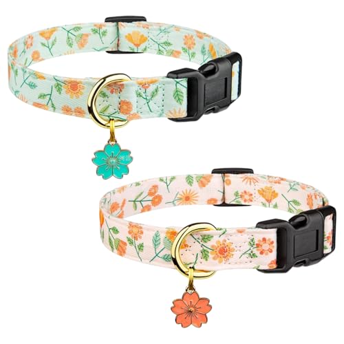 2pcs Katzenkragen Baumwolle Breakaway niedliche Kätzchenkragen verstellbare Länge Komfortable atmungsaktive Katzenversorgung für tägliches Tragen oder Party 2pcs Katzenkragen Baumwolle Breakaway niedliche Kätzchenkragen verstellbare Länge Komfortable atmungsaktive Katzenversorgung für tägliches Tragen oder Party von Xoeryoy