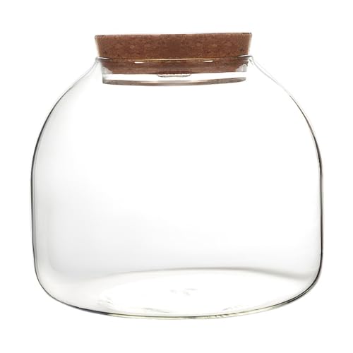 Glasterrarium für Pflanzen, 1600 ml Pflanzen -Terrarium mit Korkendeckel, großes Glas des Terrarium Glasterrarium für Pflanzen, 1600 ml Pflanzen -Terrarium mit Korkendeckel, großes Glas des Terrarium von Xoeryoy