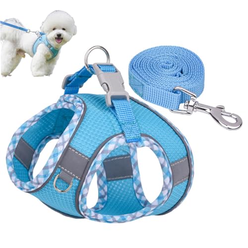 Xoeryoy Hundekabelbaum und Leine, verstellbare, atmungsaktive Mesh -Katze -Weste und Leine, Welpenweste mit reflektierender Streifen für kleine Rassen Haustier Walking -Training von Xoeryoy