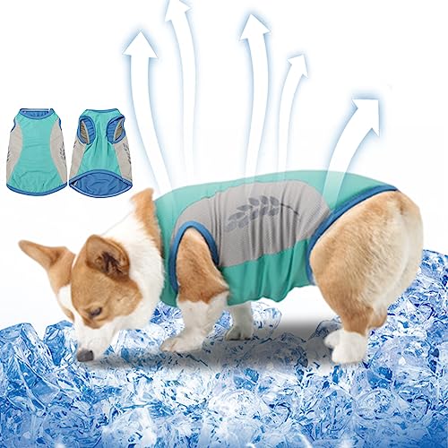 Hundekühlung Weste reflektierende Haustierkühlung Jacke Sommer Hundkühler Kleidung zum Wandern Hundekühlung Weste reflektierende Haustierkühlung Jacke Sommer Hundkühler Kleidung zum Wandern von Xoeryoy