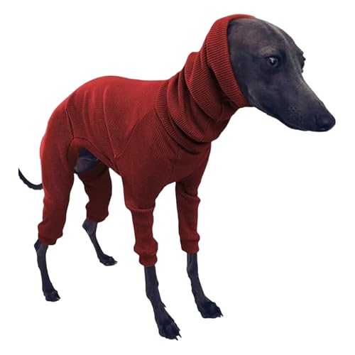 Xoeryoy Windhundpullover für Hunde, Baumwoll-Windhund-Pyjama vierbeinige Kleidung mit Kapuze mit Kapuzenhippet-Pyjamas dehnbar warm Xoeryoy Windhundpullover für Hunde, Baumwoll-Windhund-Pyjama vierbeinige Kleidung mit Kapuze mit Kapuzenhippet-Pyjamas dehnbar warm von Xoeryoy