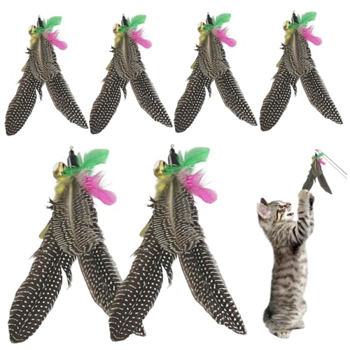 Xoeryoy Cat -Zauberstab -Befestigungsspielzeug 6PCs BITISPESTANT CAT von Xoeryoy