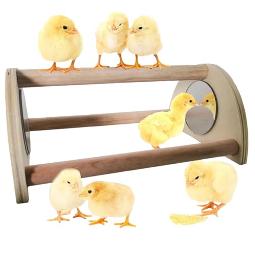 Xoeryoy Chick Barch, Holzküken -Schlafbar für Bruter mit Spiegel, ideal für großen Vogel, Papagei, Ara, Hühner von Xoeryoy