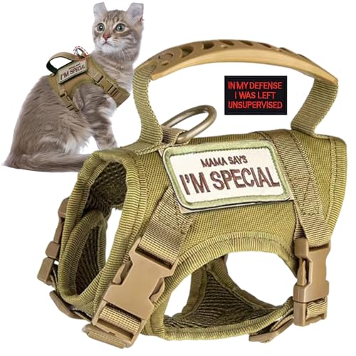 Xoeryoy Escape Proof Hundekabelbaum schockdes Weste Brustgurt Verstellbares bequemes Katzenkabelbaum Flucht Nachweis für große Katze, Kleiner Hund # Xoeryoy Escape Proof Hundekabelbaum schockdes Weste Brustgurt Verstellbares bequemes Katzenkabelbaum Flucht Nachweis für große Katze, Kleiner Hund # von Xoeryoy