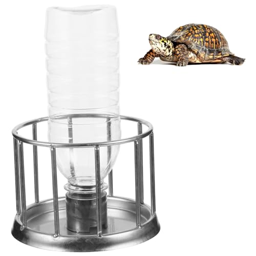 Xoeryoy Schildkrötenwasserschale, 4, 3 -Zoll von Xoeryoy