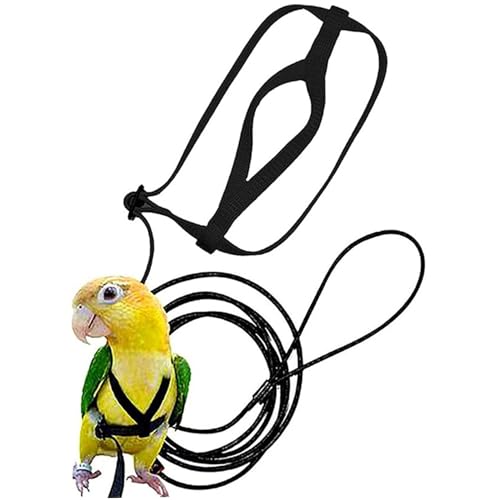 Xoeryoy Vogelkabelbaum, verstellbare Vogel-Leinen-Haustier-Trainingsversorgungen Anti-Bite-Flieger-Nylonseil für Conures Budegar Lovebird Cockatiel Mynah && Xoeryoy Vogelkabelbaum, verstellbare Vogel-Leinen-Haustier-Trainingsversorgungen Anti-Bite-Flieger-Nylonseil für Conures Budegar Lovebird Cockatiel Mynah && von Xoeryoy