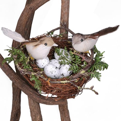 Xoeryoy Vogelnestdekor, 6, 3 Zoll realistische Plastik -Rattan -Vogelhäuser mit 2 Vögeln und 5 Eier für Garten Yard Home Osterdekoration Xoeryoy Vogelnestdekor, 6, 3 Zoll realistische Plastik -Rattan -Vogelhäuser mit 2 Vögeln und 5 Eier für Garten Yard Home Osterdekoration von Xoeryoy