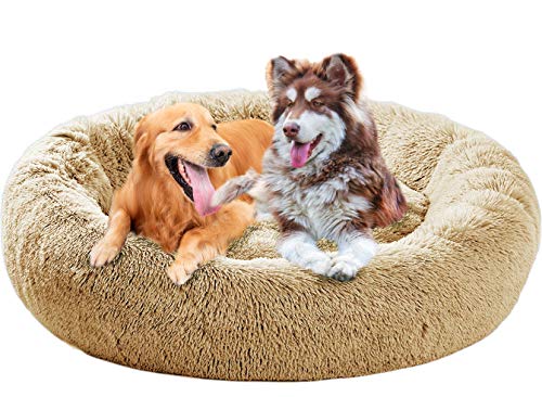 Xpnit Bequemes Donut-Hundebett, luxuriöses rundes weiches Kissen, verbesserter Schlaf, kuscheliges beruhigendes Bett für mittelgroße und große Hunde (100 cm, beige) von Xpnit