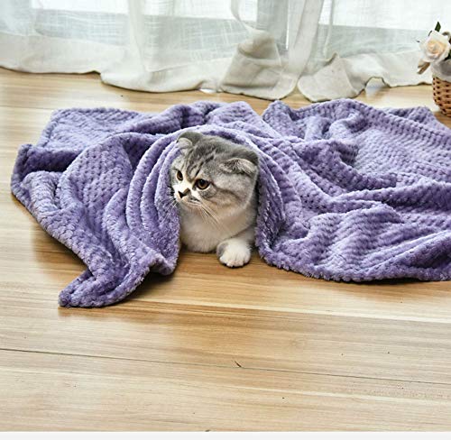 Xpnit Haustierbett-Decke, warm, für Hunde und Katzen, warm, Schlafdecke, Welpen, Kätzchen, Bettdecke, Badetuch, Decken für Herbst und Winter (Lila, M 80 x 60 cm) von Xpnit