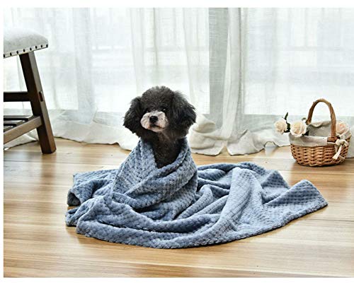 Xpnit Haustierbett-Decke, warm, für Hunde und Katzen, warm, Schlafdecke, Welpen, Kätzchen, Bettdecke, Badetuch, Decken für Herbst und Winter (blau, L 100 x 80 cm) von Xpnit